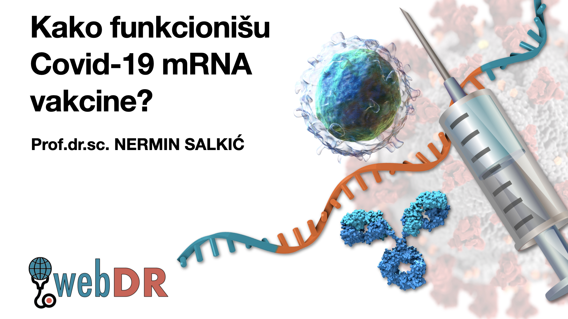 mRNA.023