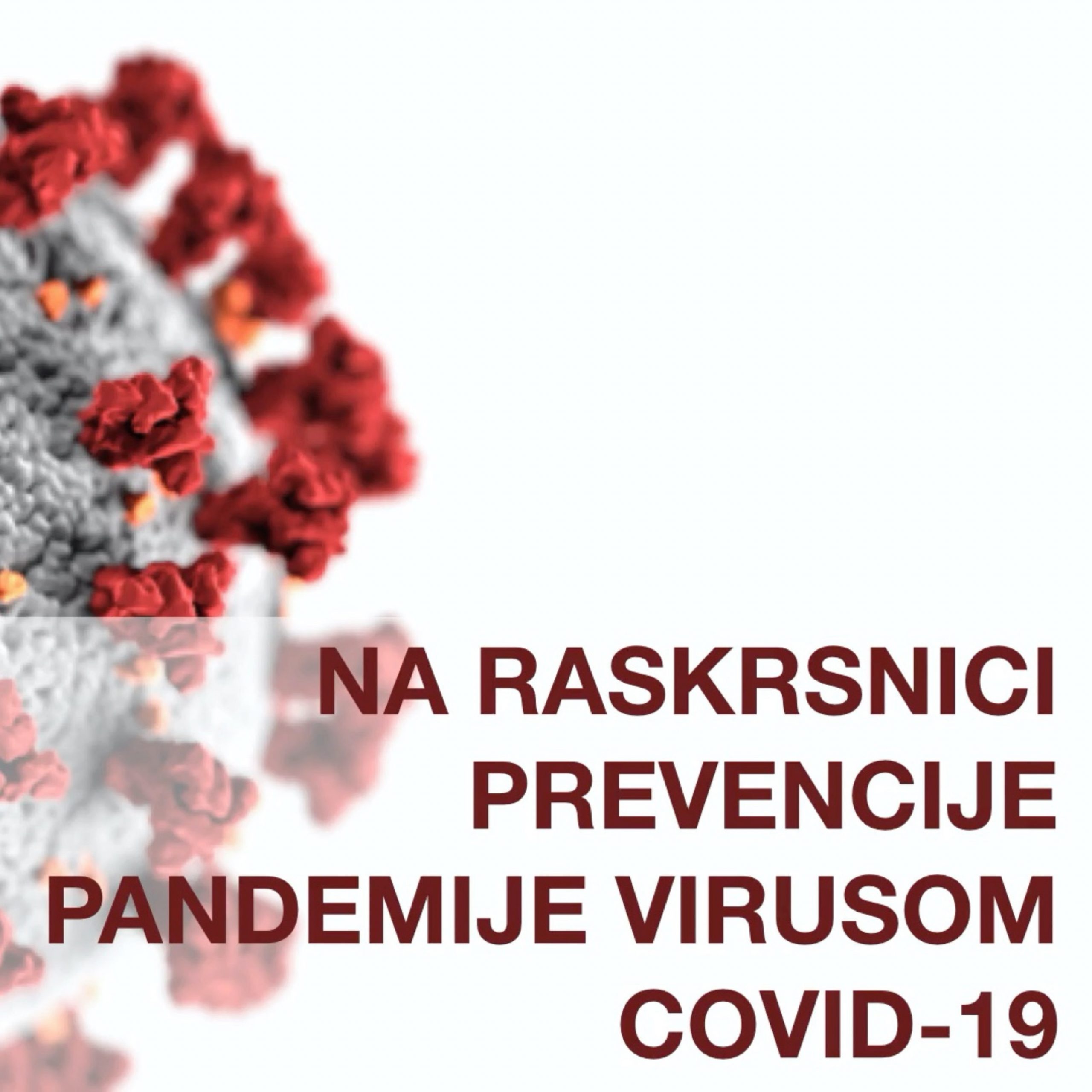 Na raskrsnici pandemije Covid-19